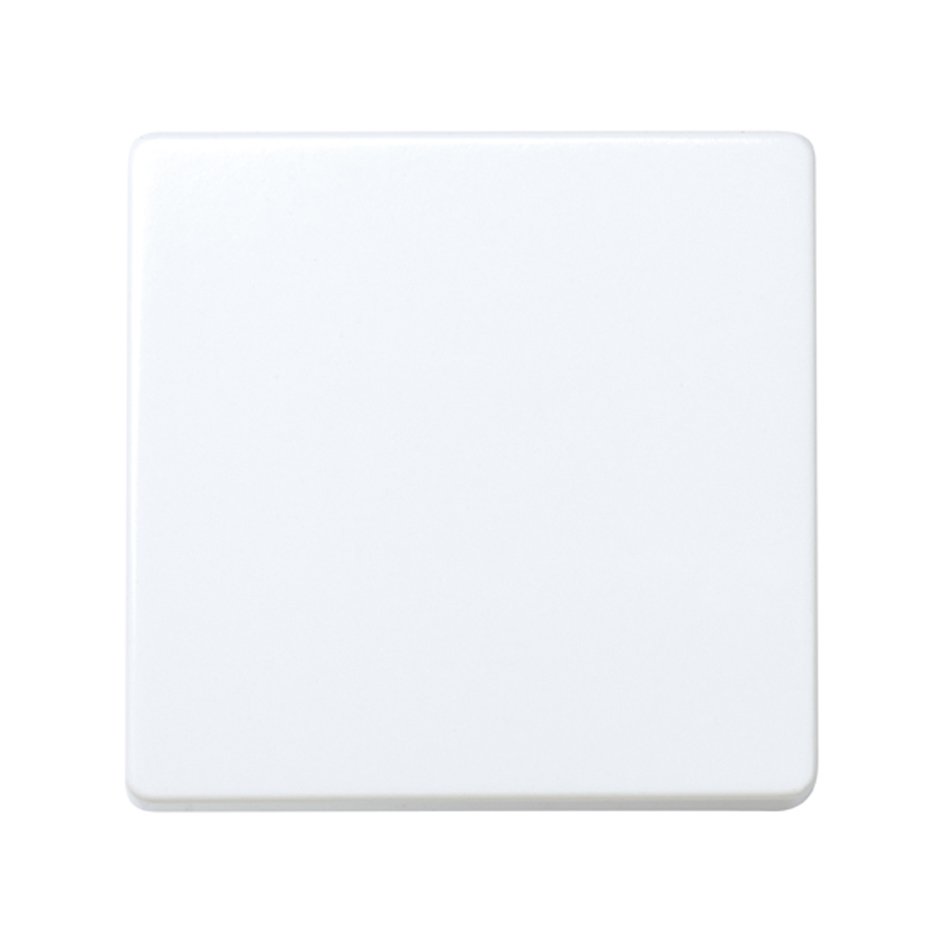 Interruptor unipolar 10 AX 250V~ con sistema de embornamiento rápido blanco Simon 27 Play