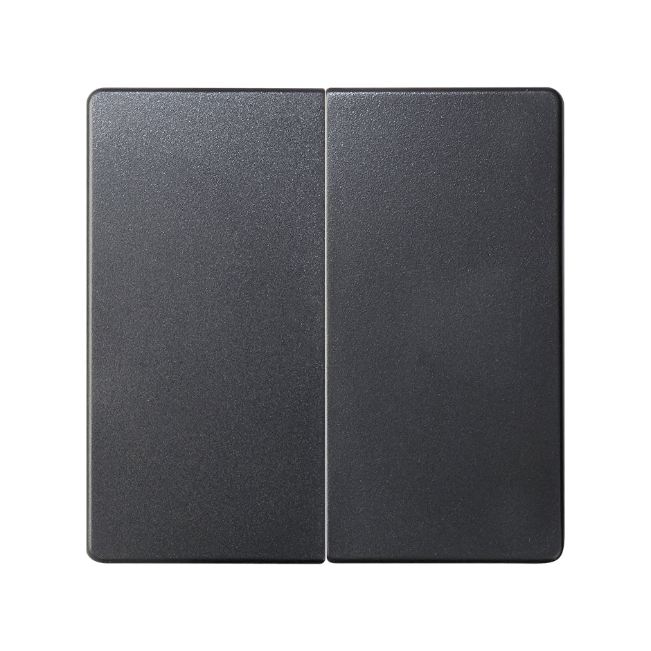 Tecla doble para mecanismos de mando  Simon 82
