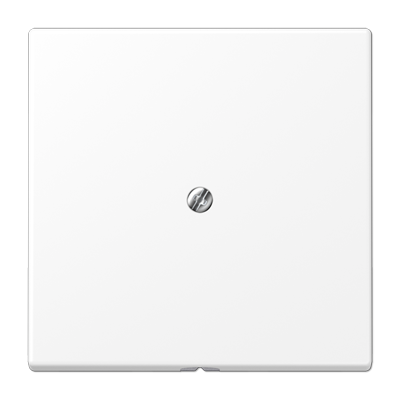 Placa con salida cablee LS Blanco Mate