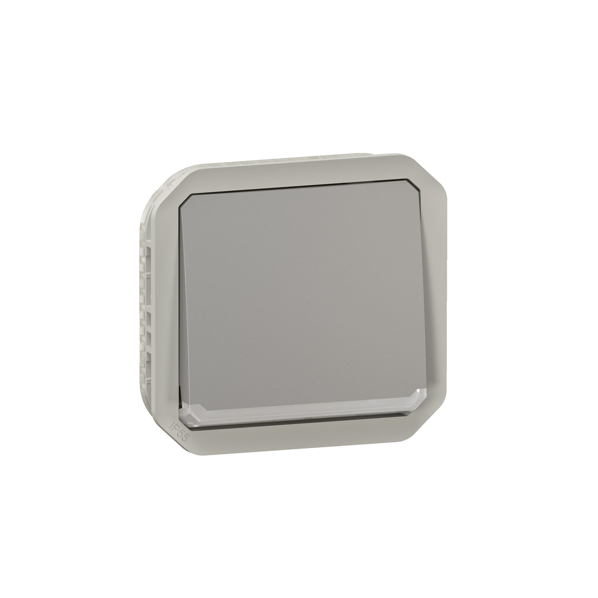 Interruptor bipolar Plexo modular - 10AX - Gris