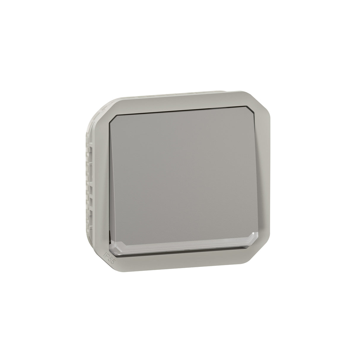 Conmutador luminoso Plexo modular - 10AX - Gris