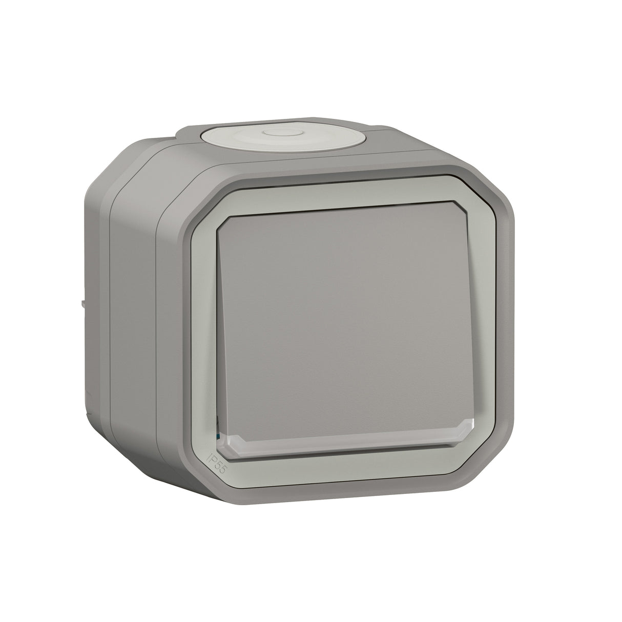Conmutador testigo Plexo monobloc superficie - 10AX - Gris