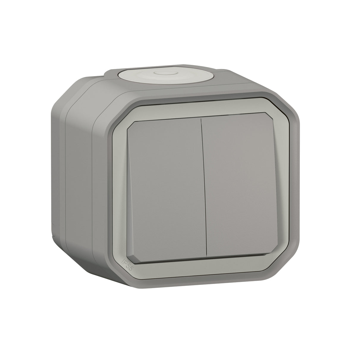 Conmutador doble Plexo monobloc superficie - 10AX - Gris