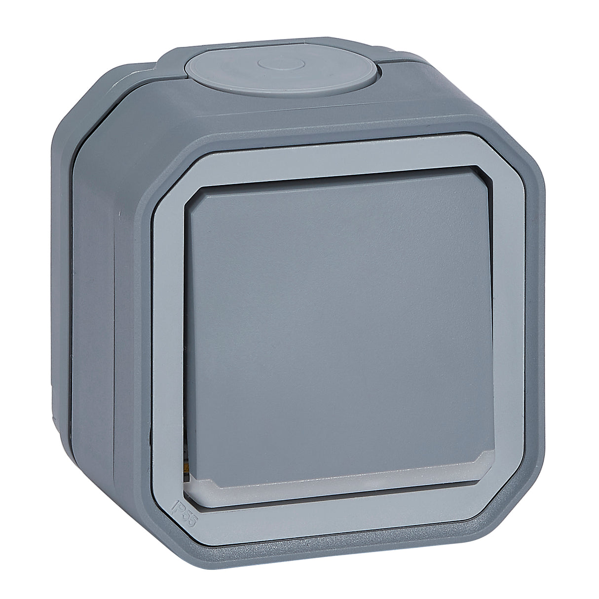 Interruptor con piloto bipolar Plexo monobloc superficie - 10AX - Gris