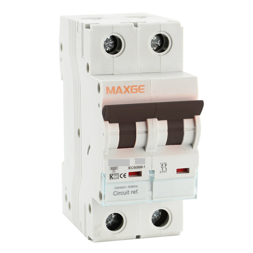 Interruptor magnetotermico SGB125H industrial. 2 P, curva C. 15kA