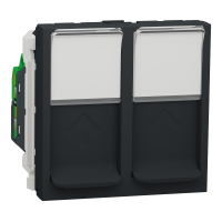 Toma doble RJ45 cat.6 UTP  2 módulos