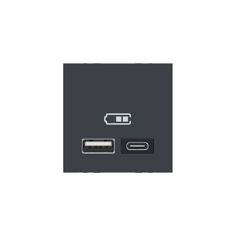 Cargador doble USB 2,4 A